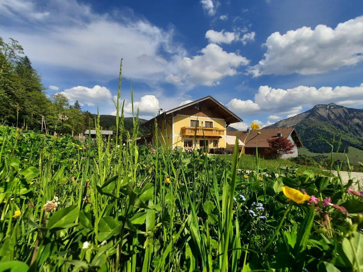 Appartement Reitlhof, Bio Berg Bauernhof Krispl Zewnętrze zdjęcie