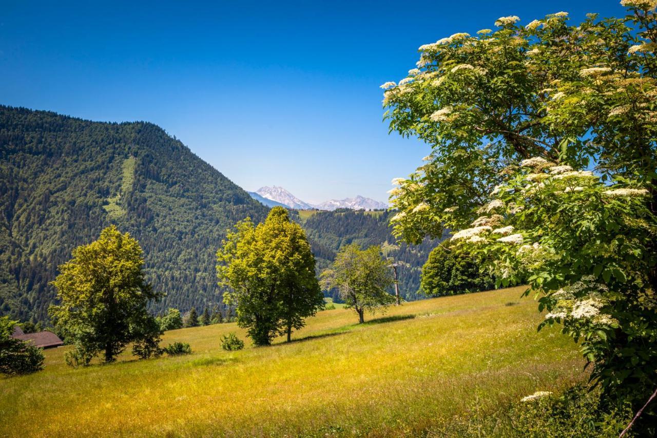 Appartement Reitlhof, Bio Berg Bauernhof Krispl Zewnętrze zdjęcie