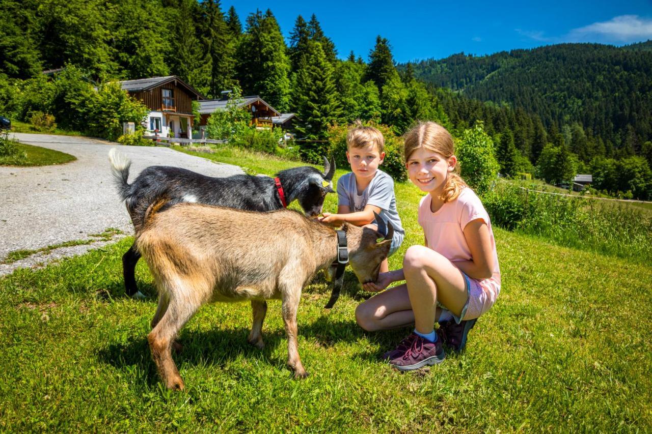 Appartement Reitlhof, Bio Berg Bauernhof Krispl Zewnętrze zdjęcie