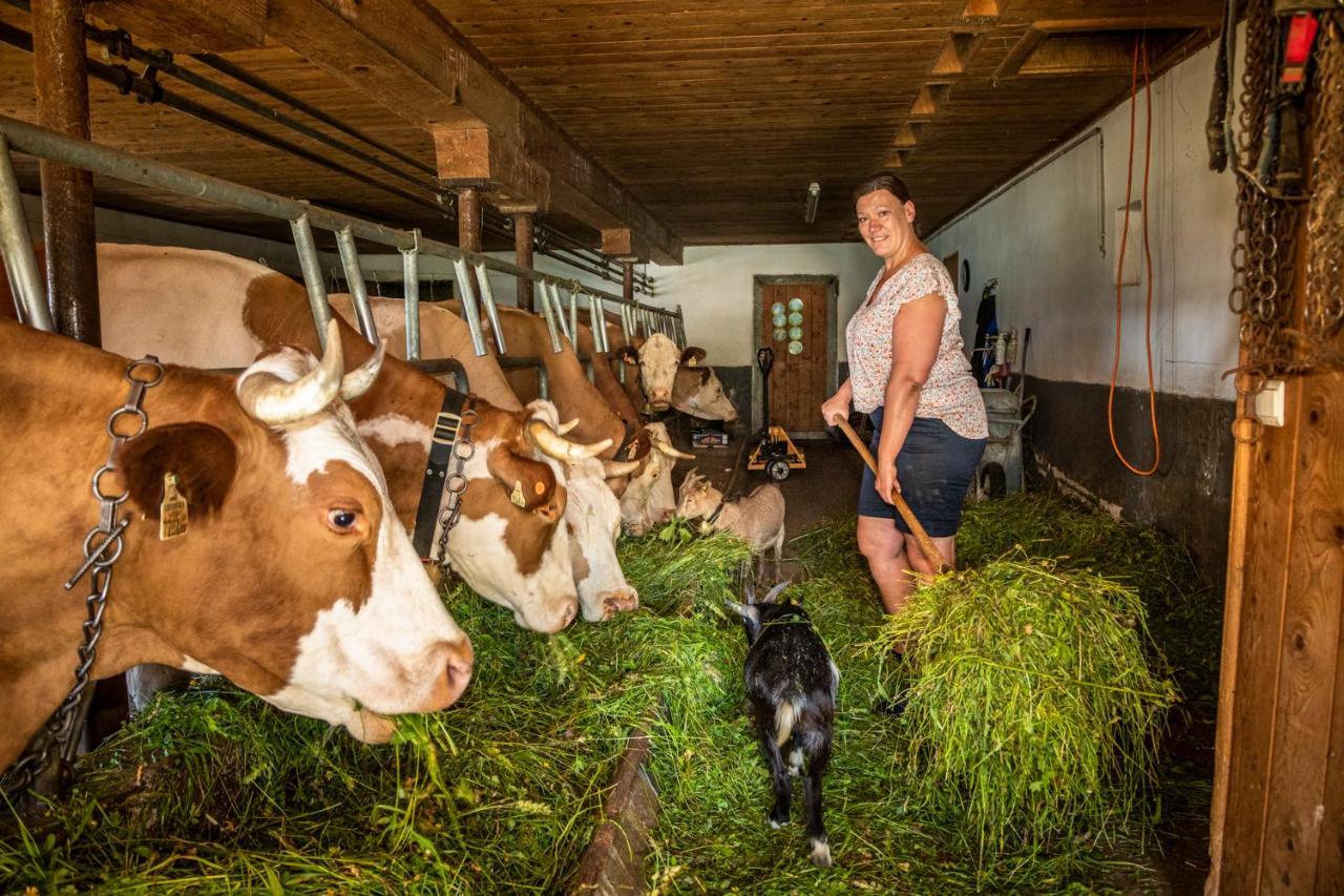 Appartement Reitlhof, Bio Berg Bauernhof Krispl Zewnętrze zdjęcie